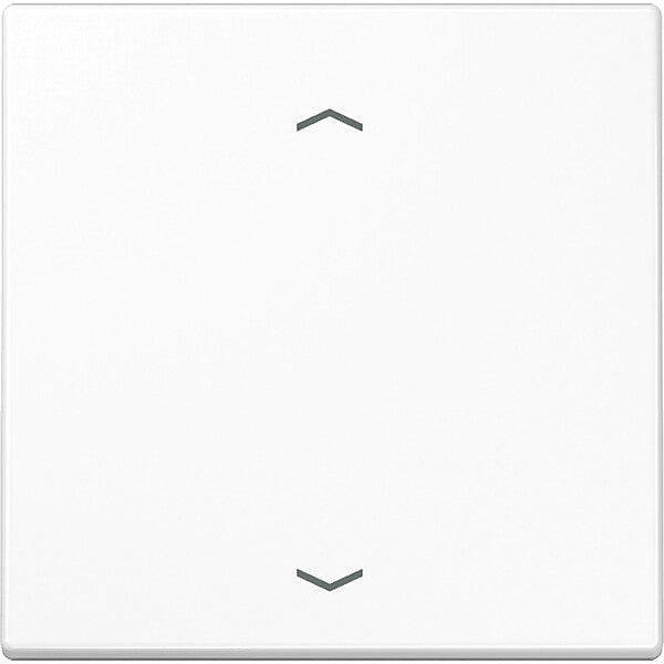 JUNG Steuertaste Standard Symbole Pfeile LS 1700 P WW